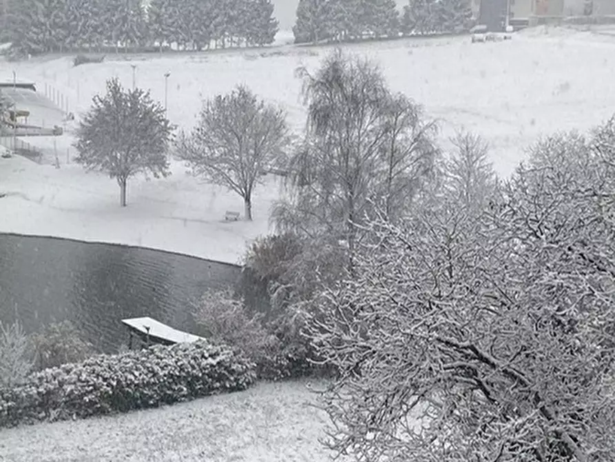 Immagine 28 di Albergo/B&B/Residence in vendita  in VIA NAZIONALE 2 a Sella Giudicarie