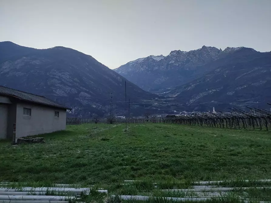 Immagine 6 di Magazzino in vendita  a Aldeno