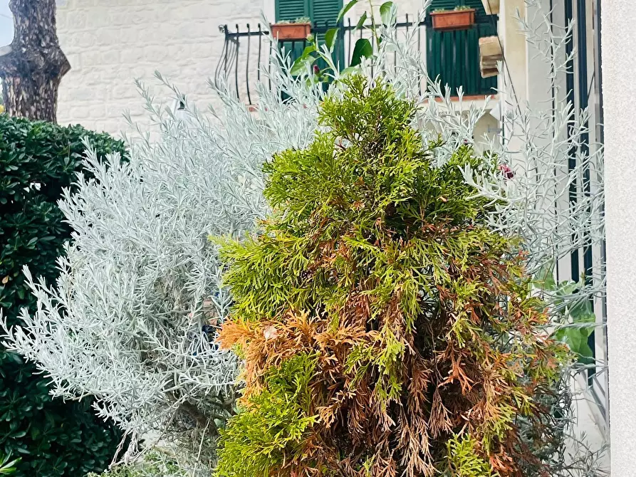 Immagine 4 di Casa bifamiliare in affitto  in Via Fonte Olio a Ancona