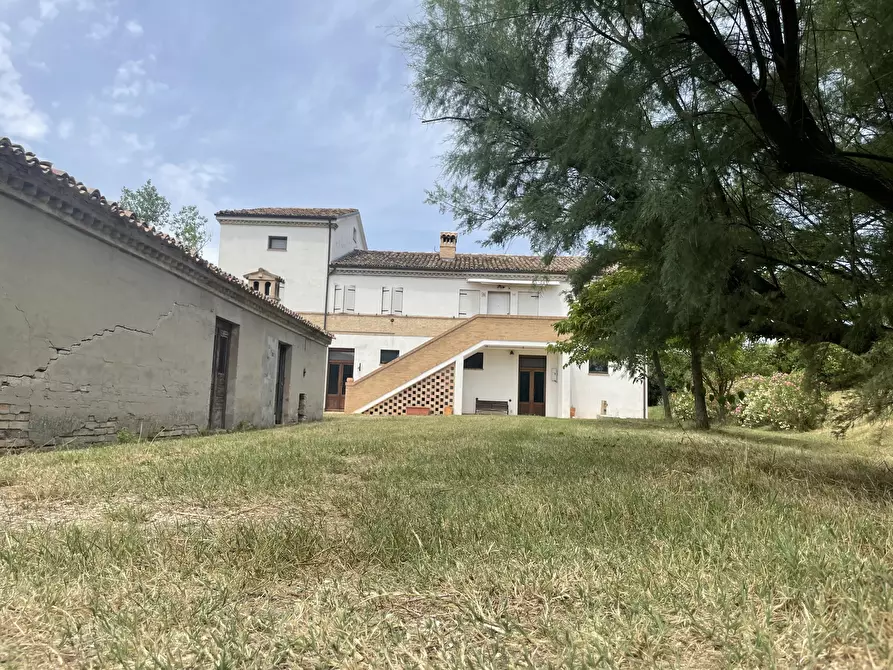 Immagine 7 di Rustico / casale in vendita  in Filottrano a Filottrano