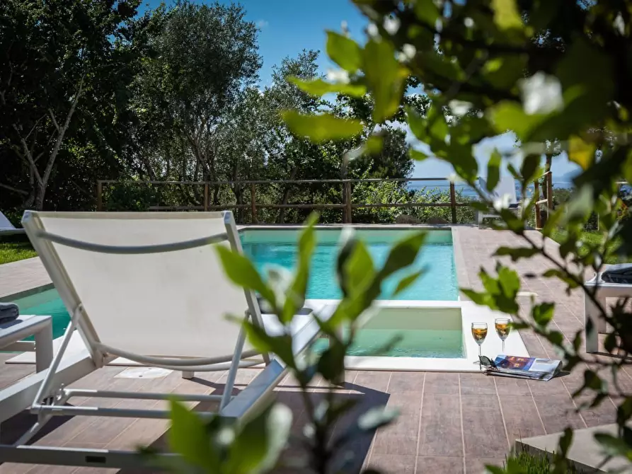 Immagine 2 di Rustico / casale in vendita  in Frazione Poggio a Ancona