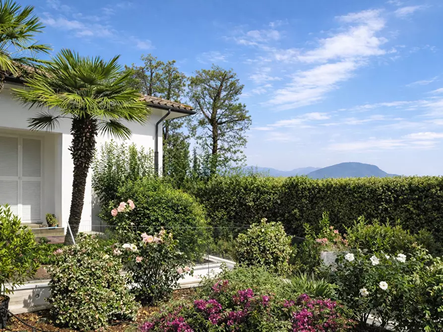 Immagine 5 di Villa in vendita  in Via Ischia a Numana