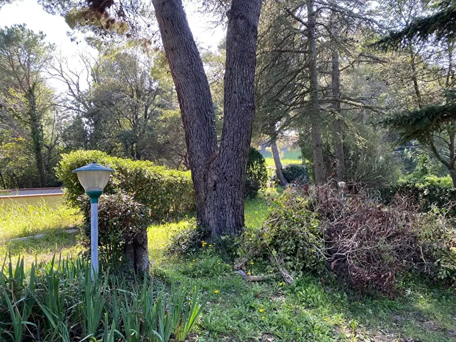 Immagine 27 di Rustico / casale in vendita  in Massignano a Ancona