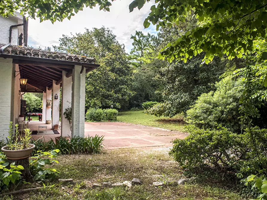 Immagine 43 di Rustico / casale in vendita  in OFFAGNA a Offagna