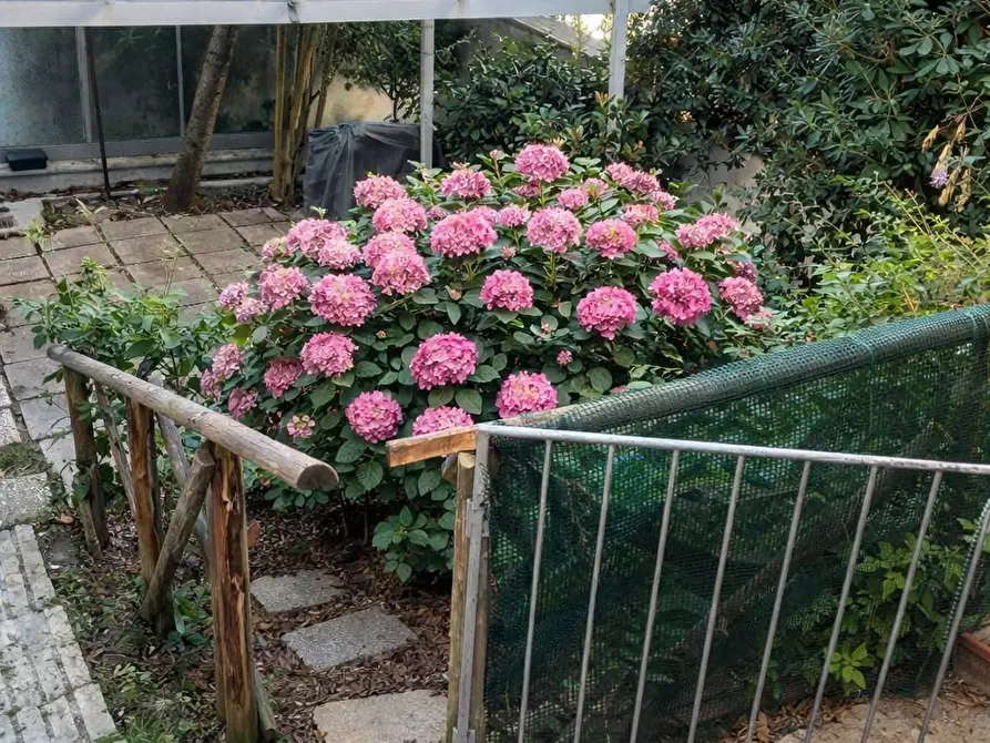 Immagine 6 di Trilocale in vendita  in Via Vittorio Veneto a Ancona