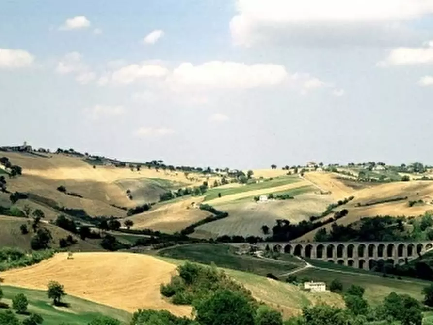 Immagine 28 di Villa in vendita  in VIA CHIARAVALLESE a Osimo