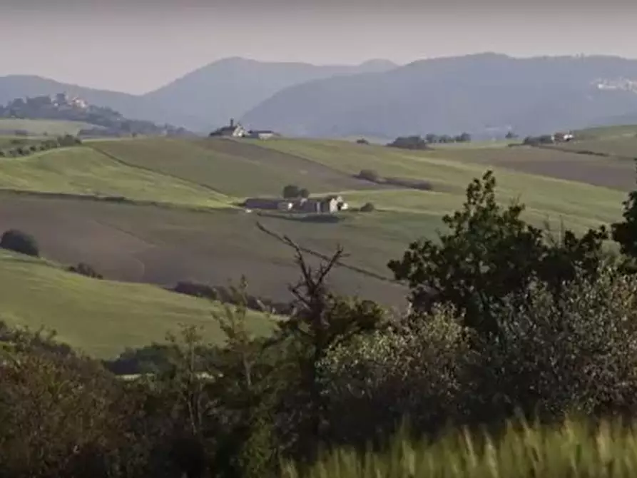Immagine 24 di Rustico / casale in vendita  in CASTEL LEONE DI SUASA a Ostra Vetere