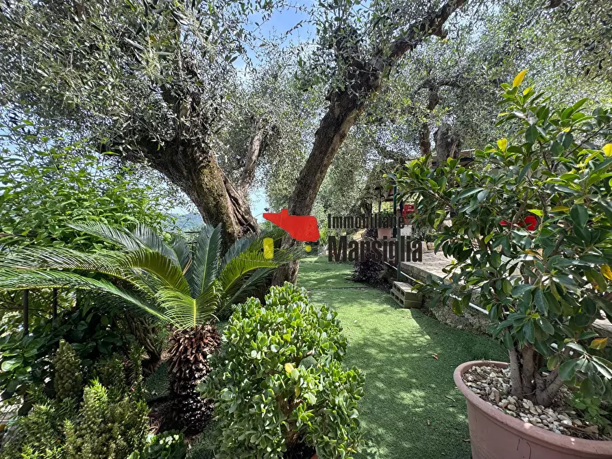 Immagine 37 di Villa in vendita  in Via Monsignore Tornatore a Dolceacqua