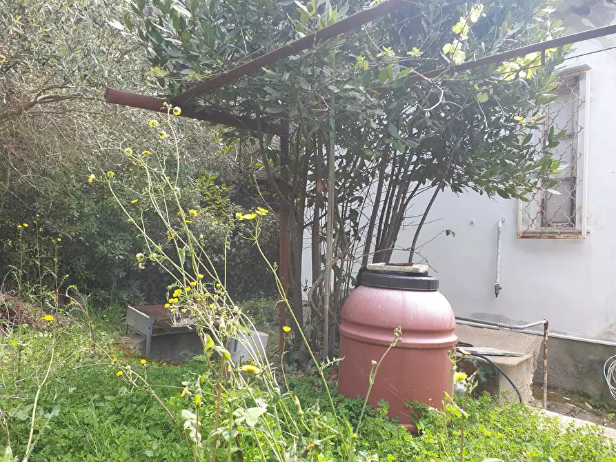 Immagine 10 di Rustico / casale in vendita  a Livorno