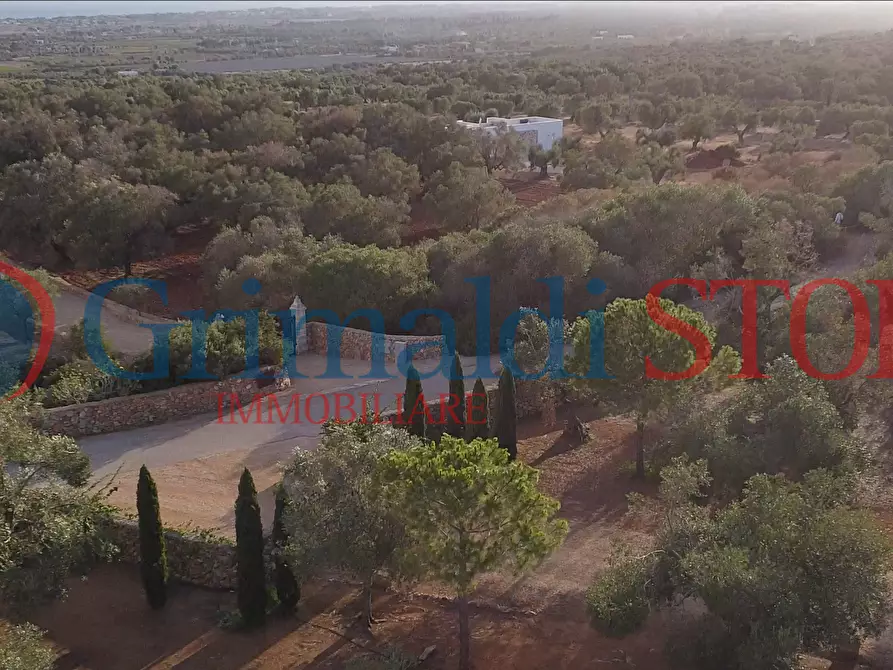 Immagine 10 di Terreno agricolo in vendita  a Manduria