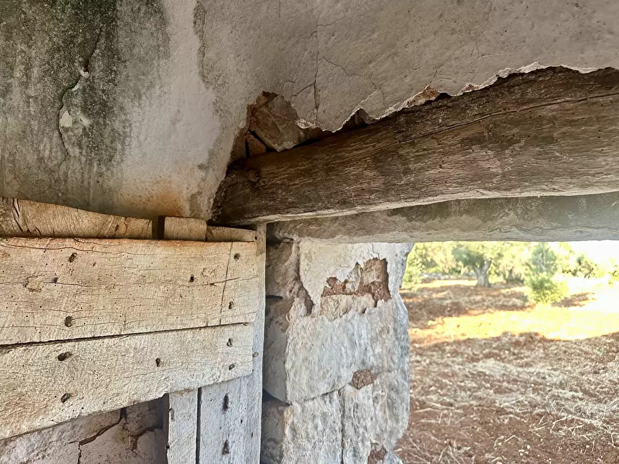 Immagine 20 di Terreno edificabile in vendita  a Ceglie Messapico