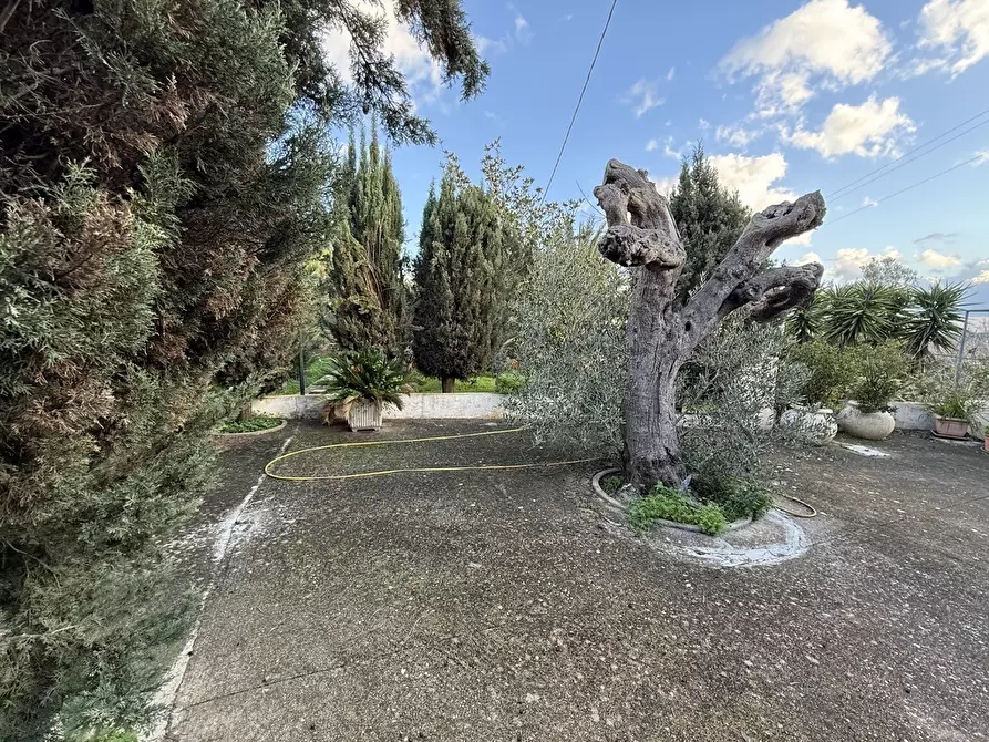 Immagine 4 di Casa indipendente in vendita  in SP361 a Parabita