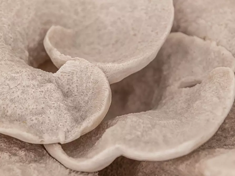 Immagine 52 di Casa indipendente in vendita  in Via Roberto Caracciolo 30 a Lecce