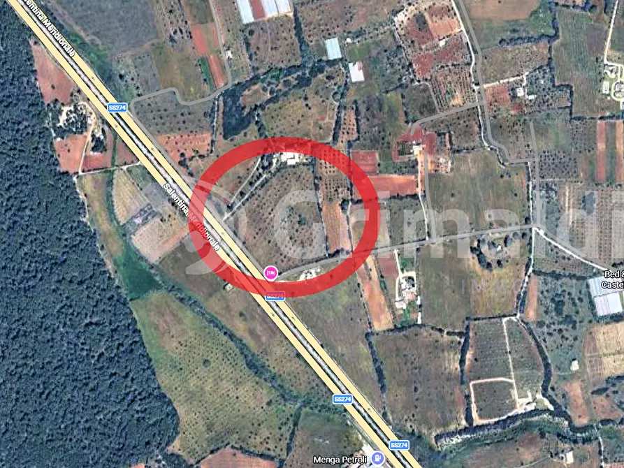 Immagine 7 di Terreno agricolo in vendita  in Strada Statale 274 a Gallipoli
