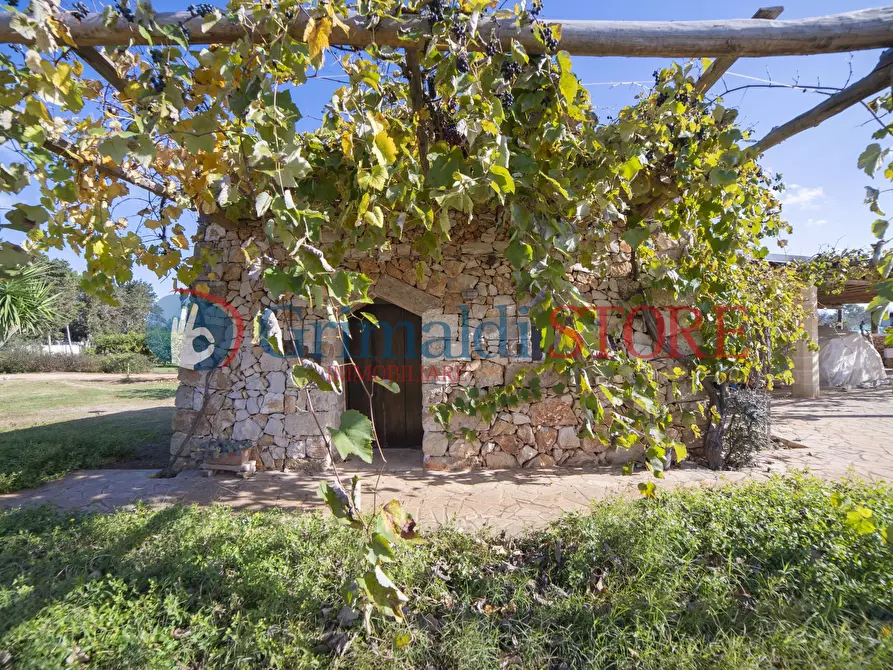 Immagine 22 di Villa in vendita  in Via Sardegna 19 a Monteroni Di Lecce