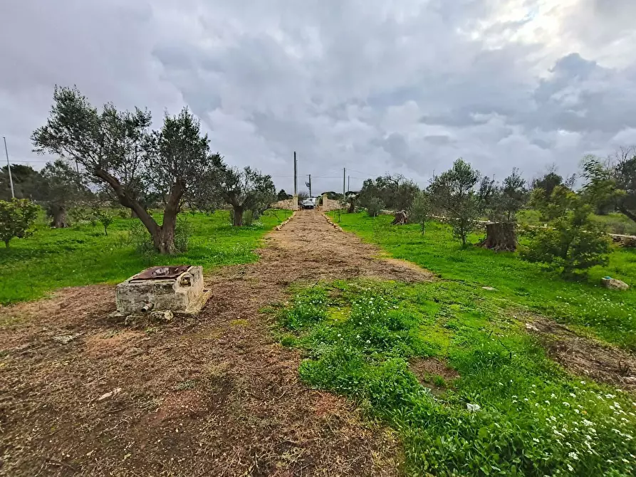 Immagine 4 di Terreno edificabile in vendita  in Contrada Curlo snc a Sannicola