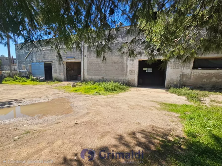 Immagine 27 di Magazzino in vendita  in Via Solano Li Belli 47 a Lequile