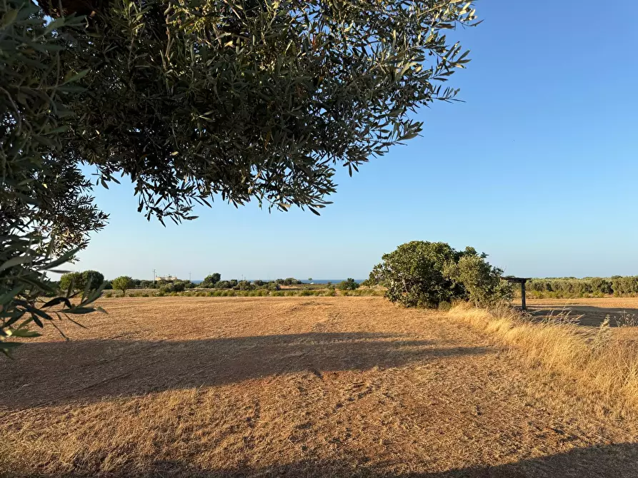 Immagine 15 di Terreno agricolo in vendita  in Contrada Cerasina a Fasano