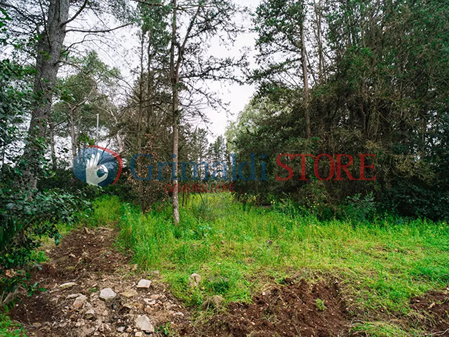 Immagine 33 di Rustico / casale in vendita  in Via Messapia 8 a Monteroni Di Lecce