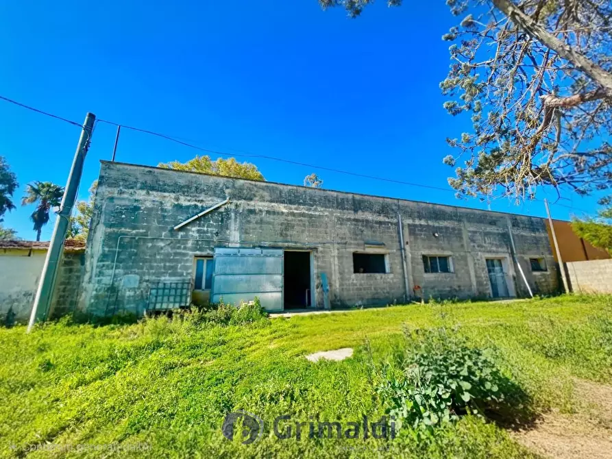 Immagine 2 di Magazzino in vendita  in Via Solano Li Belli 47 a Lequile