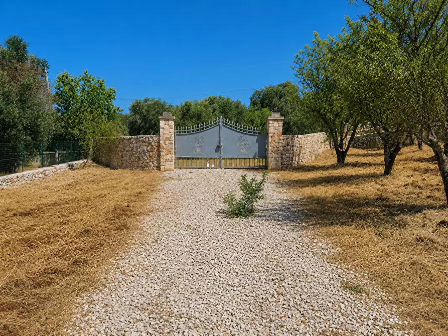 Immagine 6 di Terreno agricolo in vendita  in Contrada San Benedetto a Ostuni