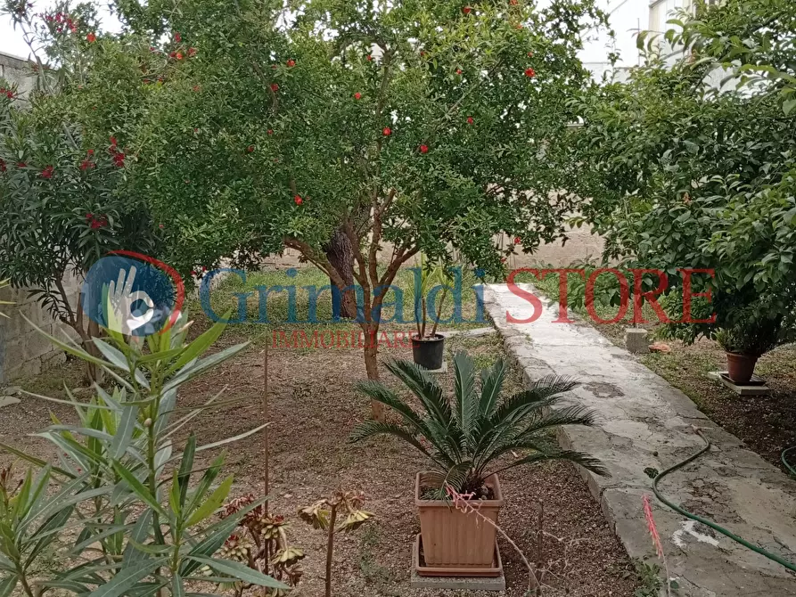 Immagine 23 di Casa indipendente in vendita  in Via Pasquale Leone 95 a Salice Salentino