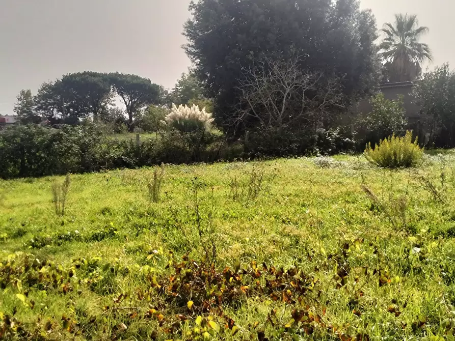 Immagine 11 di Terreno agricolo in vendita  in Via Lago di Sirino a Nettuno