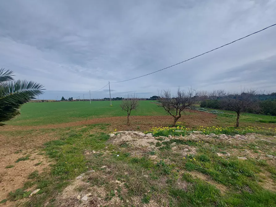 Immagine 14 di Rustico / casale in vendita  in Strada per Baccatani 26 a Brindisi