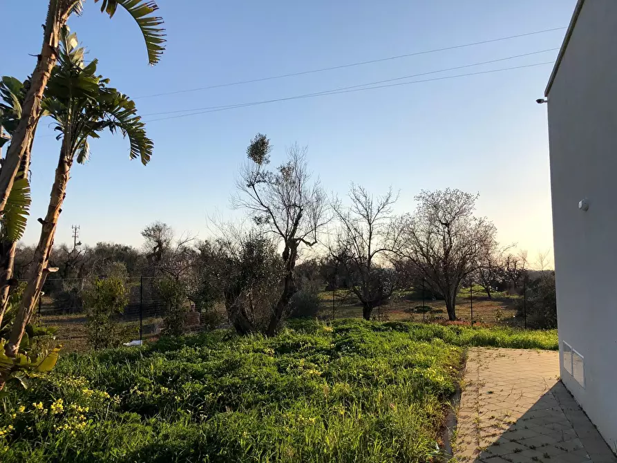 Immagine 41 di Casa indipendente in vendita  in Via Masseria Ungulìa 2 a Sannicola