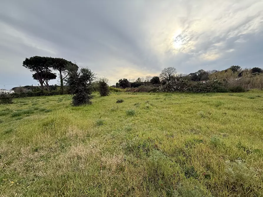 Immagine 10 di Terreno edificabile in vendita  in VIA CENTOCELLE 1 a Anzio