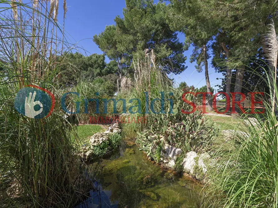 Immagine 83 di Casa indipendente in vendita  in C.S. Lu Monte 1 a Lizzanello