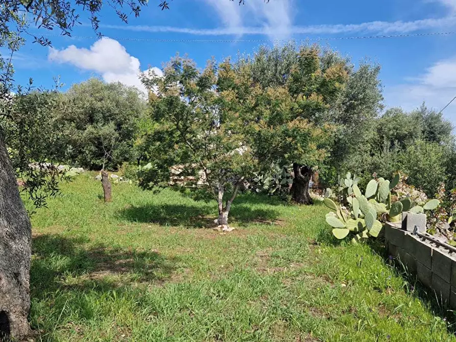 Immagine 9 di Rustico / casale in vendita  in C.da Peroscia a Monopoli