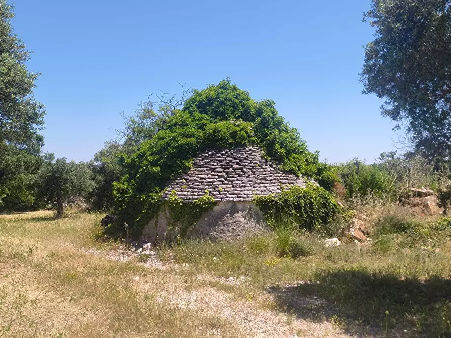 Immagine 1 di Casa indipendente in vendita  in Contrada Balice a Monopoli