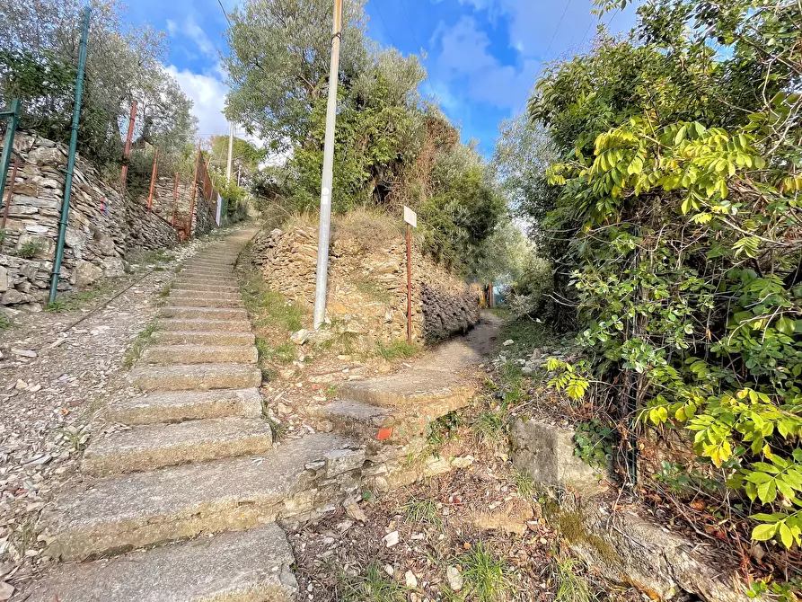 Immagine 5 di Terreno edificabile in vendita  in Via alla Pineta 2 a Recco