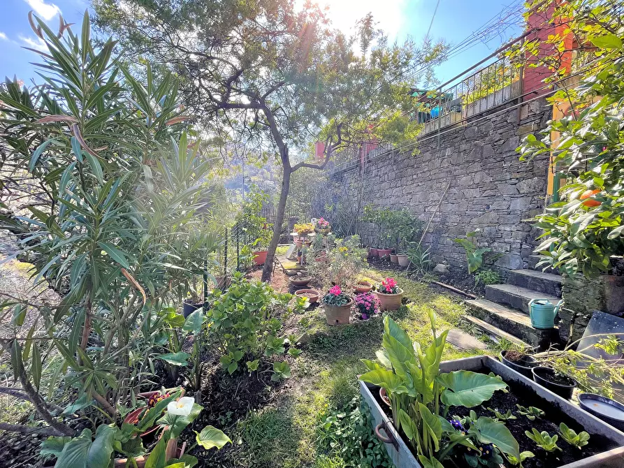 Immagine 9 di Bilocale in vendita  in Via Franco Molfino a Camogli