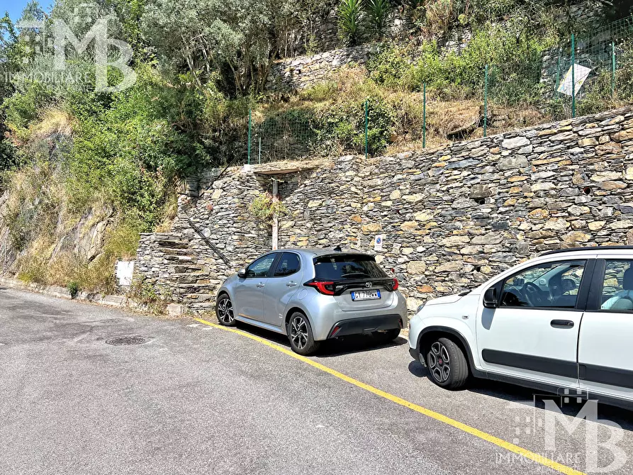 Immagine 38 di Casa indipendente in vendita  in Via Pietrafitta 1 a Avegno