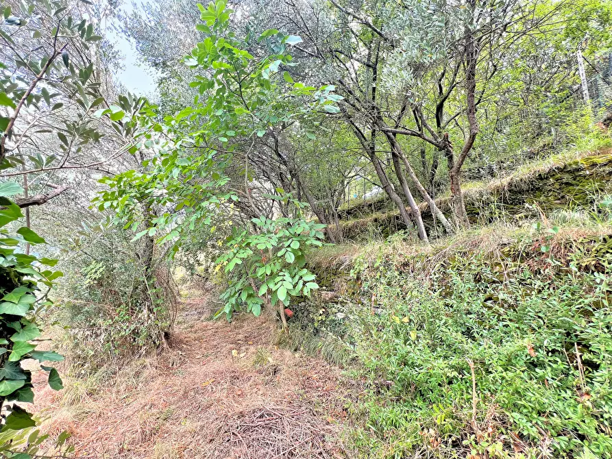 Immagine 33 di Casa indipendente in vendita  in Via Cappelletta 37 a Avegno