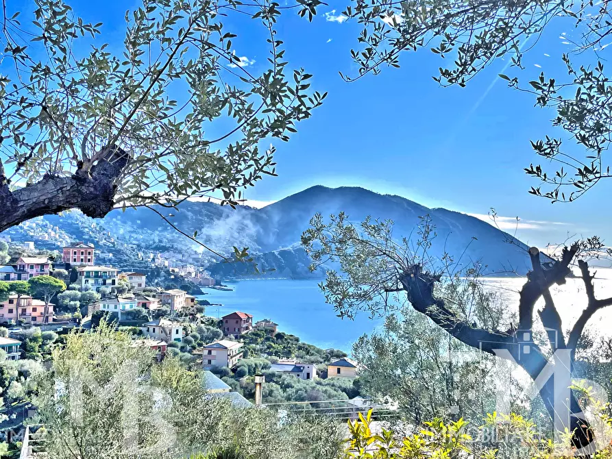 Immagine 3 di Casa indipendente in vendita  in VIA DEL CASTELLO 32 a Recco