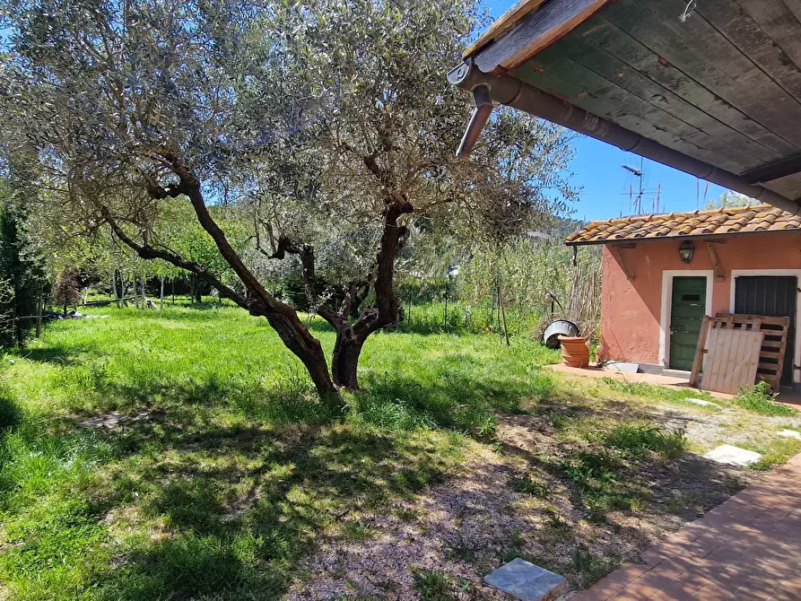 Immagine 18 di Casa indipendente in vendita  a Ameglia