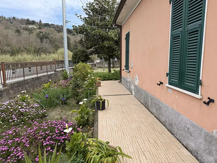 Immagine 6 di Casa indipendente in vendita  a Sarzana