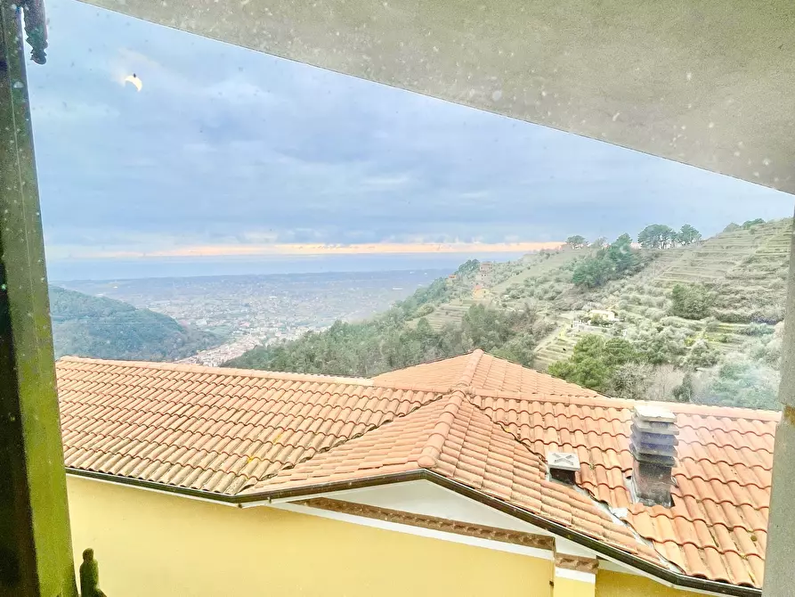 Immagine 46 di Casa indipendente in vendita  a Montignoso