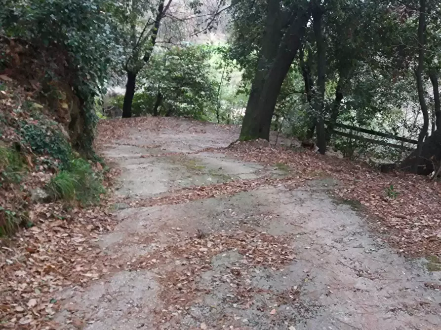 Immagine 30 di Porzione di casa in vendita  a Pietrasanta
