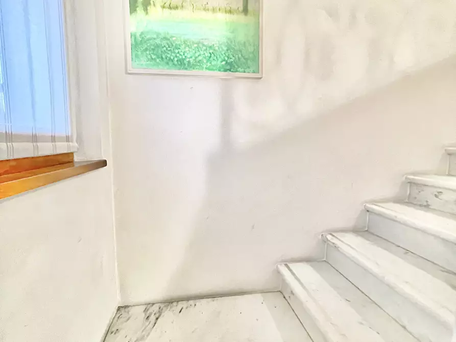 Immagine 23 di Villa in affitto  a Forte Dei Marmi