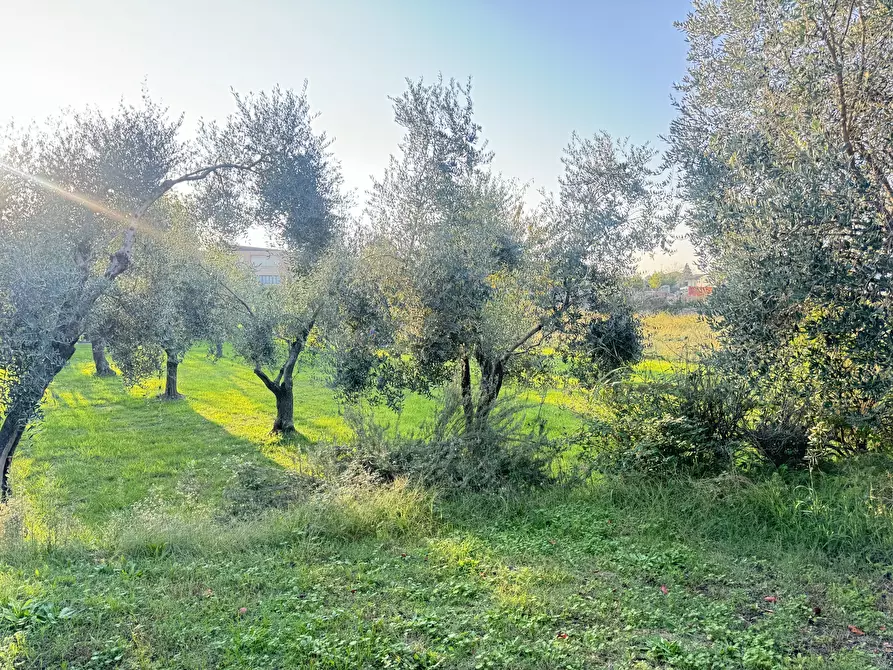 Immagine 2 di Terreno edificabile in vendita  a Pietrasanta