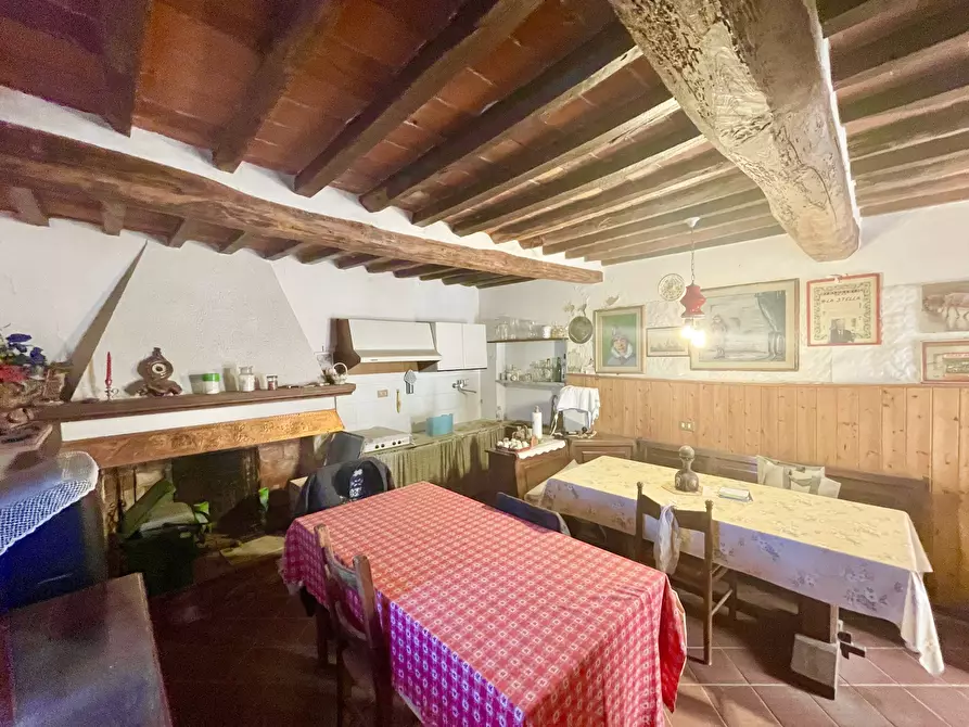 Immagine 31 di Rustico / casale in vendita  a Camaiore