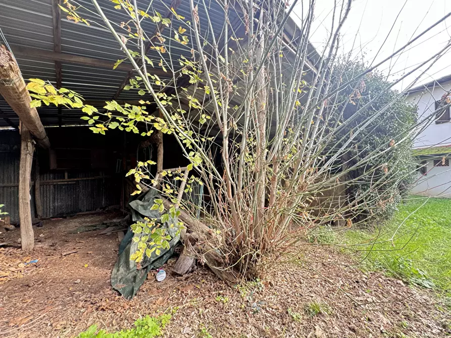 Immagine 64 di Rustico / casale in vendita  a Pietrasanta