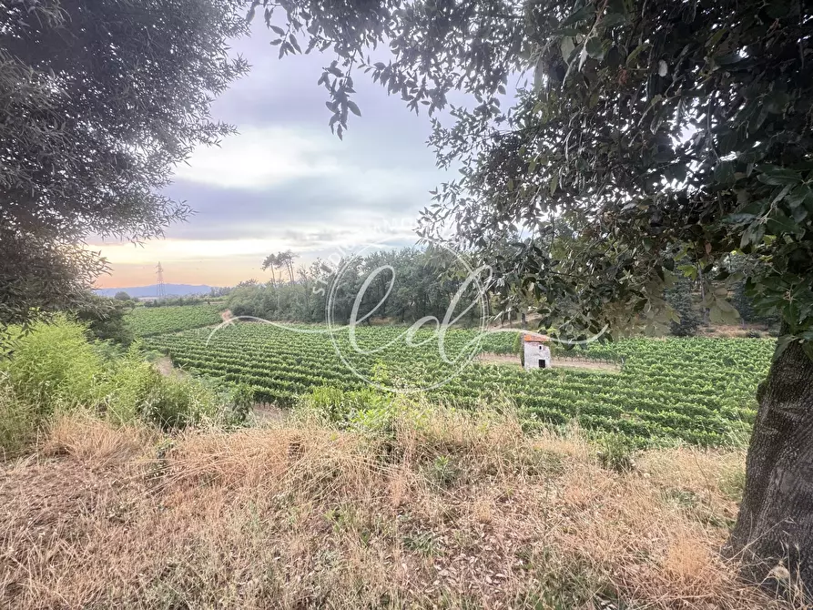 Immagine 23 di Terreno edificabile in vendita  a Ortonovo