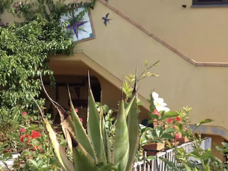 Immagine 4 di Casa indipendente in vendita  a Massarosa