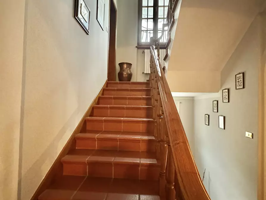 Immagine 26 di Villa in affitto  a Pietrasanta