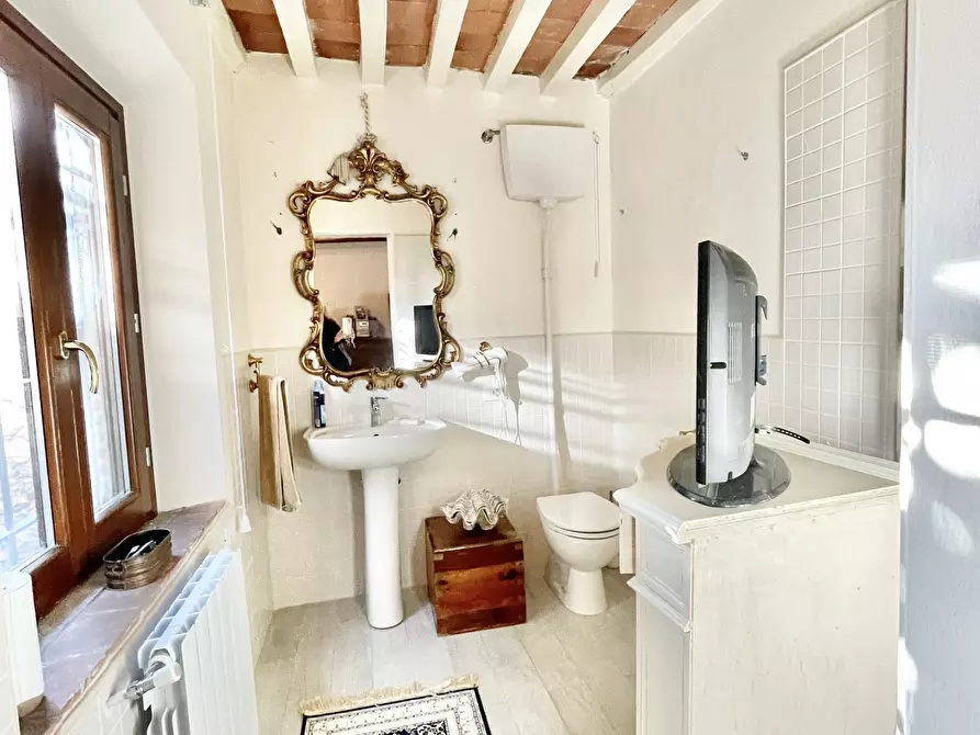 Immagine 20 di Rustico / casale in vendita  a Camaiore